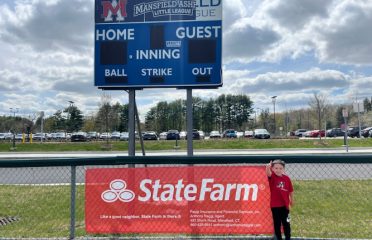 Anthony Raggi – State Farm Insurance Agent