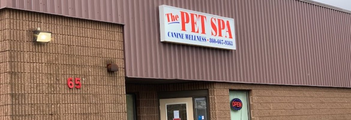 Newington Pet Spa