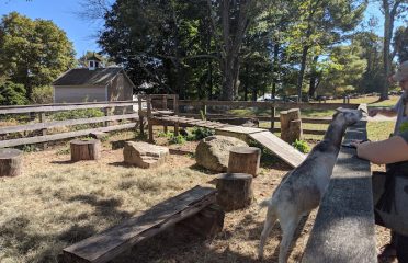Ambler Farm