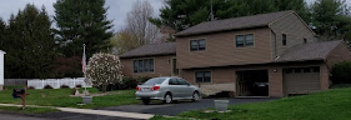 Volpe Stone Mason