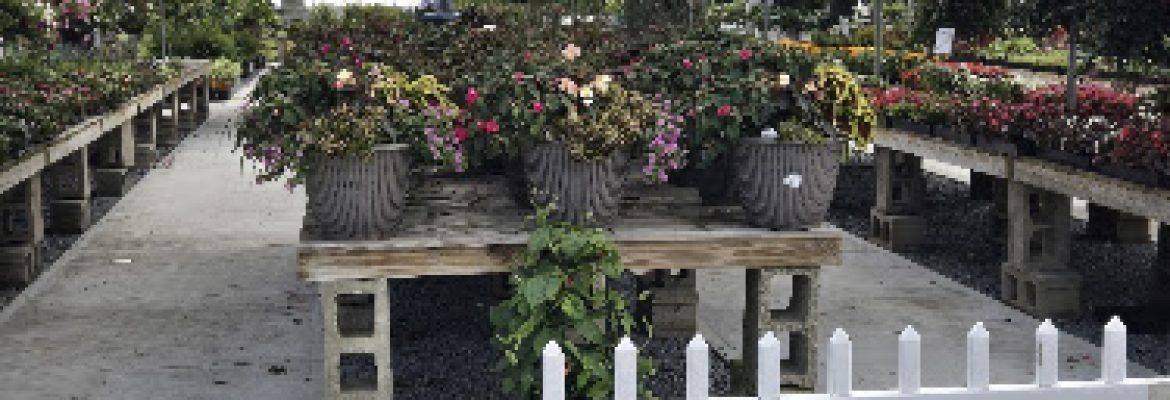 Hart’s Greenhouse & Garden Center
