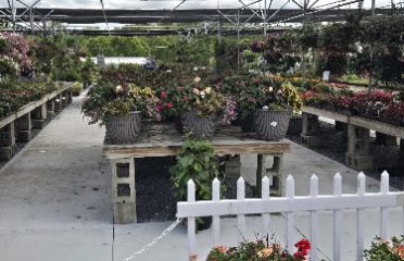 Hart’s Greenhouse & Garden Center