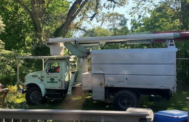 Holcomb Tree Inc.