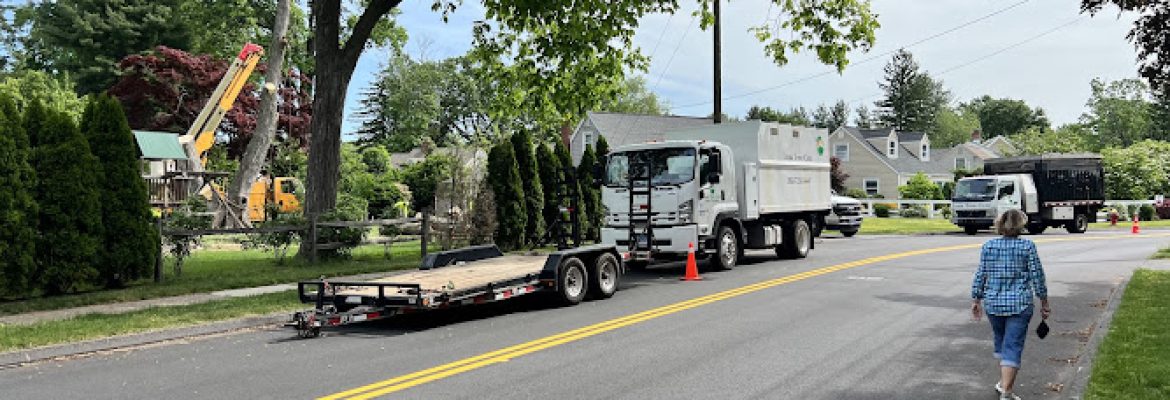 Luna Tree Care LLC