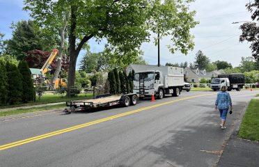 Luna Tree Care LLC
