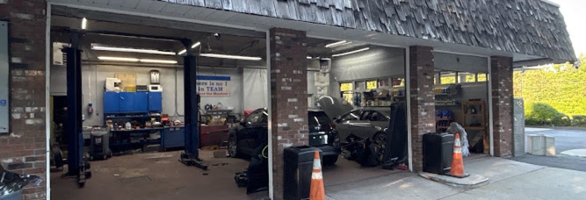 Professional auto repair