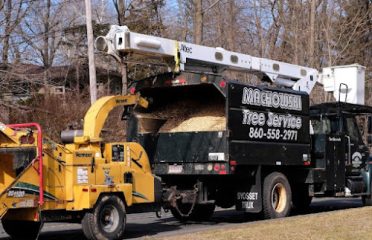 Machowski Tree Service and Removal