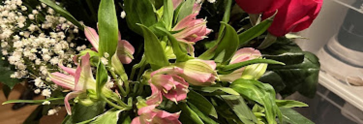 Teresa’s Herbs & Flowers