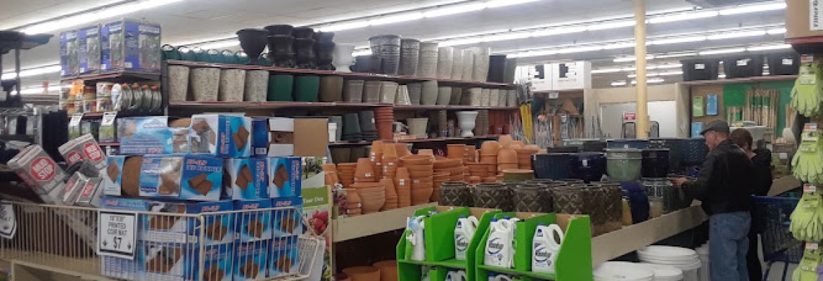 Ocean State Job Lot