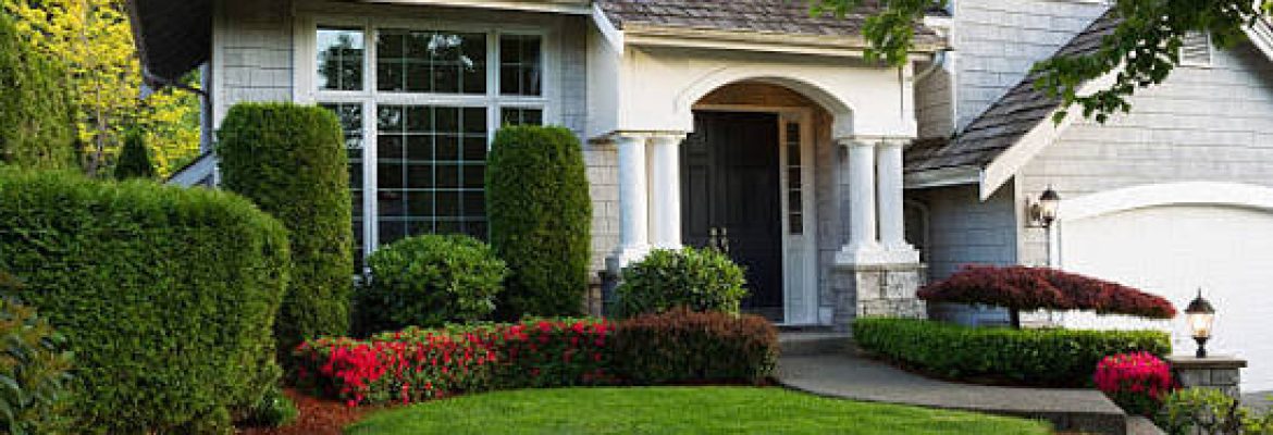 Moore Landscape Solutions