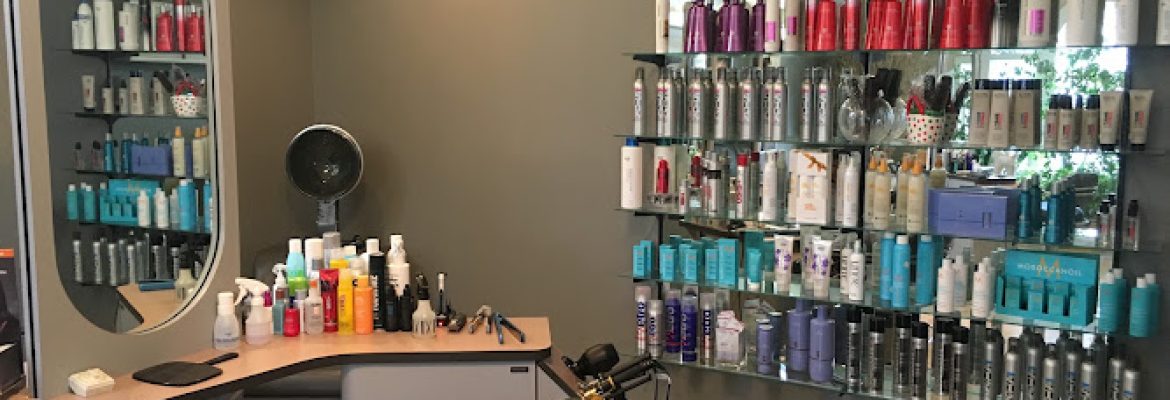 Salon Dubois, LLC