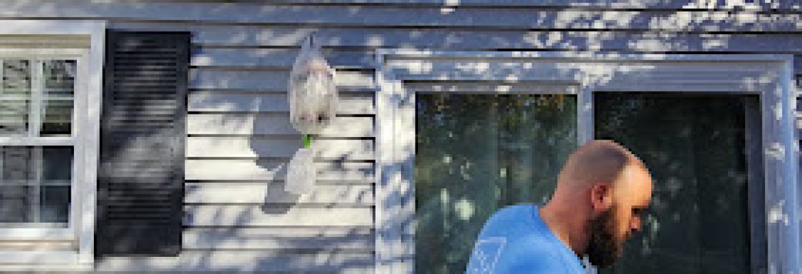 East Coast Exterior Cleaning