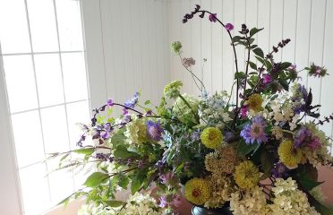Backyard Blooms