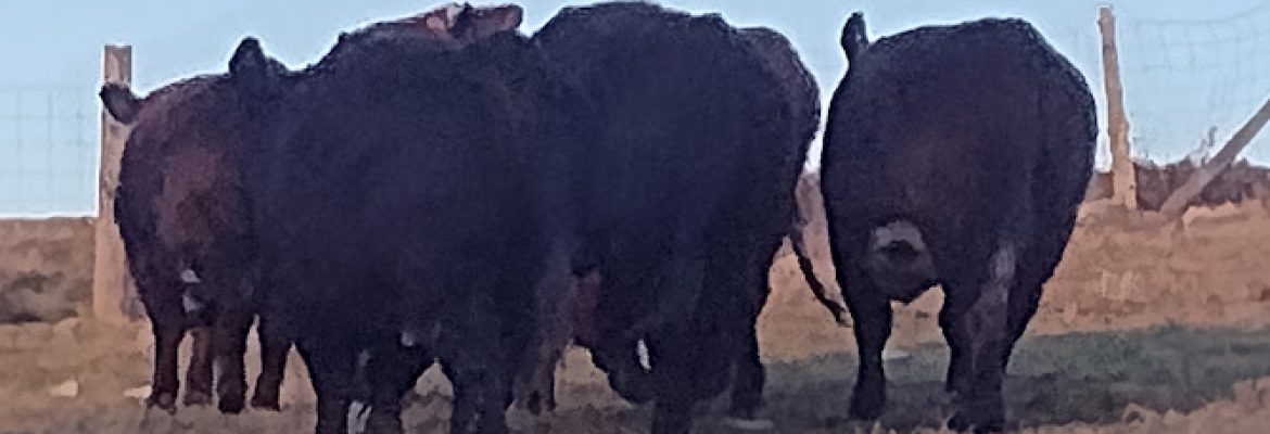 Foote Hills Farm Inc