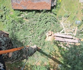 Vasquez Tree Services
