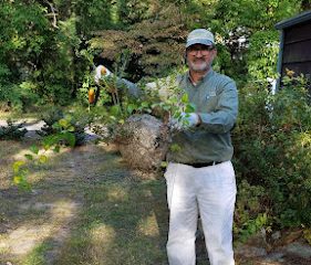 Green Pest Management LLC