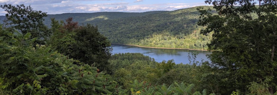Tunxis State Forest