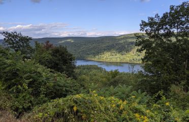 Tunxis State Forest
