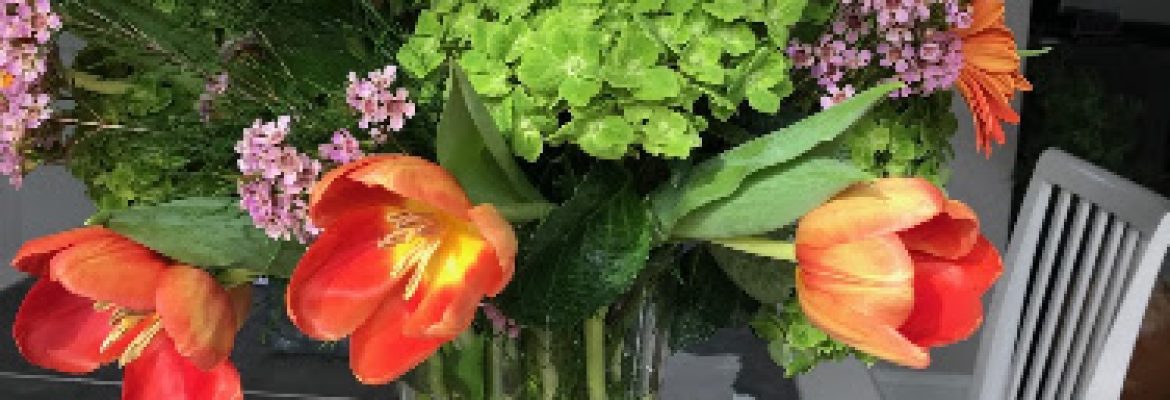 Wild Orchid LLC