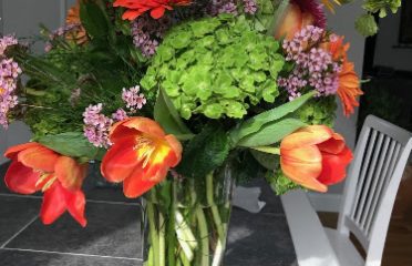 Wild Orchid LLC