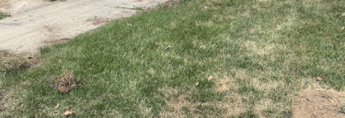 Salem General Cont. Landscaping Tree Services