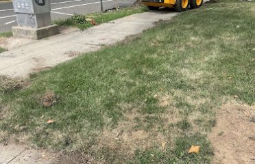 Salem General Cont. Landscaping Tree Services