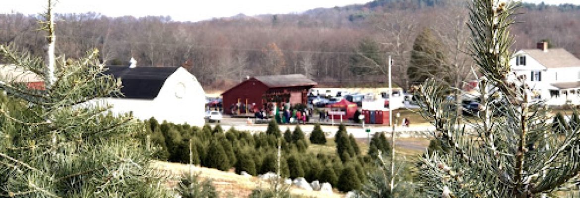 Geers Tree Farm