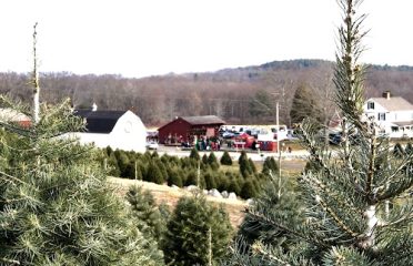 Geers Tree Farm