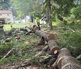 Vasquez Tree Services