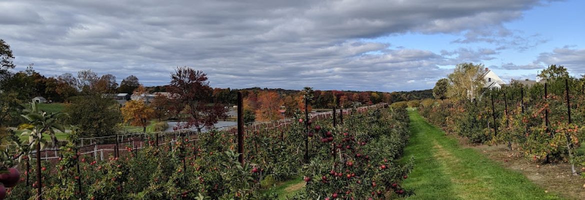 Belltown Hill Orchards