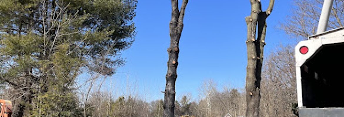 C QUITO LANDSCAPING LLC