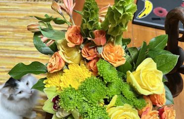 Main Street Florist & Gift