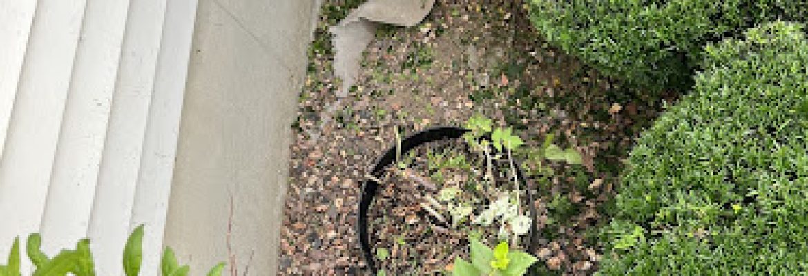 Paul’s Landscaping Inc