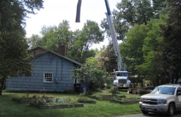 Precision Tree Experts LLC