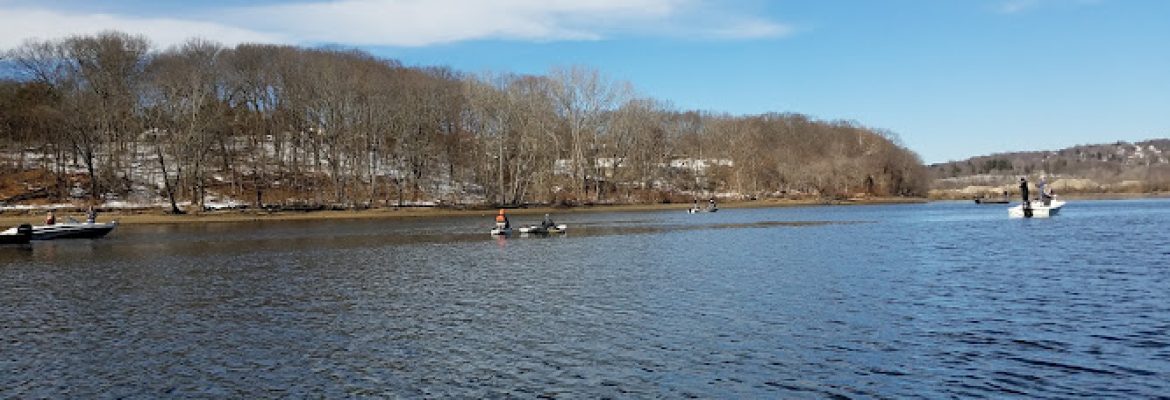 Sunnyside Park
