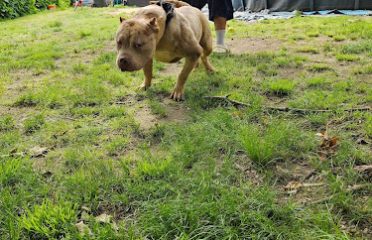 Crown Royal Kennels.llc
