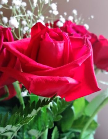 Stop & Shop Florist