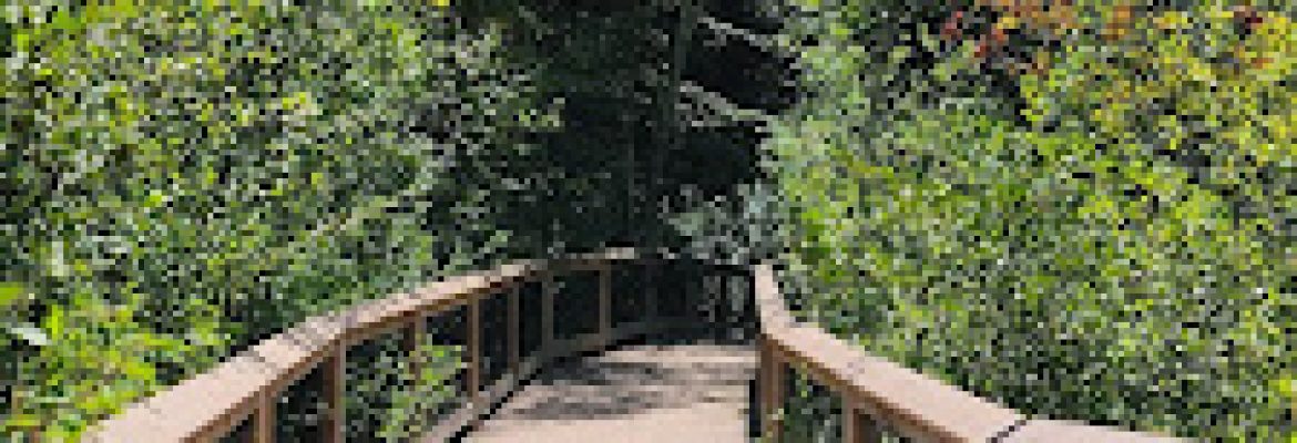 The Grounds and Trails at Dinosaur State Park