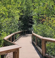 The Grounds and Trails at Dinosaur State Park