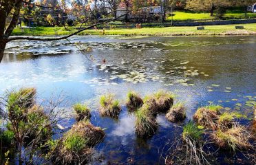 Air Line South State Park Trail – East Hampton