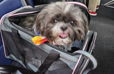 Stamford Veterinary Center