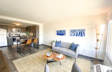 The Millennium Apartments