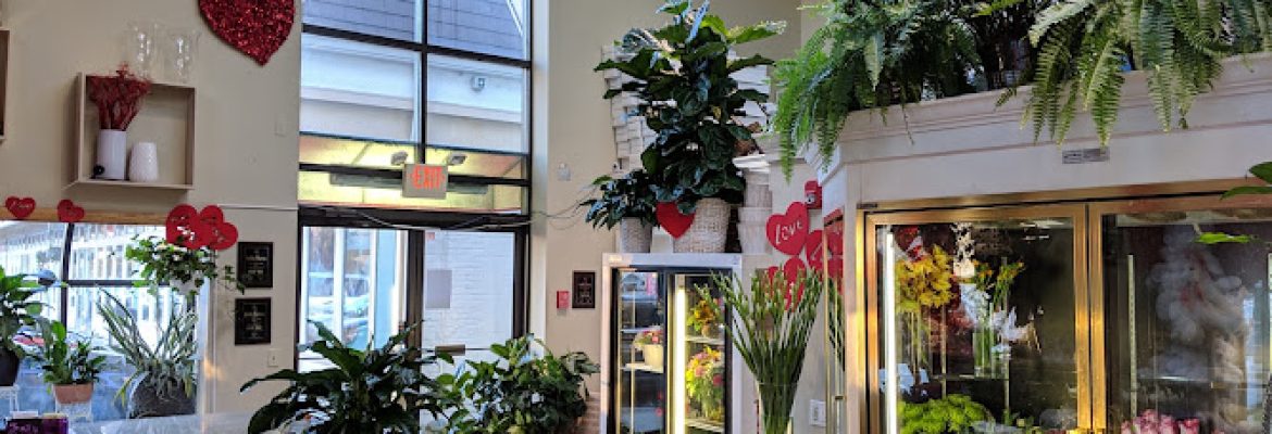Bruce’s Flowers