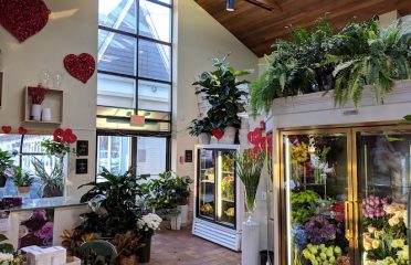 Bruce’s Flowers