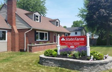 Jo Ann Walk – State Farm Insurance Agent