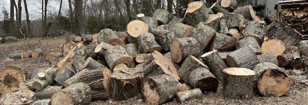 Chip-Away Tree Services Seymour