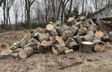 Chip-Away Tree Services Seymour