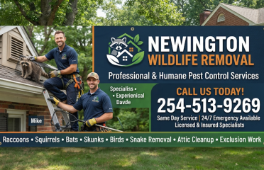 Newington Wildlife Removal
