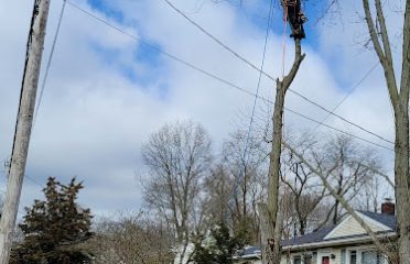 LORENZO’S LANDSCAPING & TREE SERVICE LLC