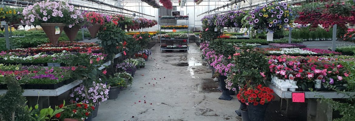 Dom’s Garden Center